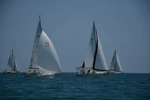 Omega 28