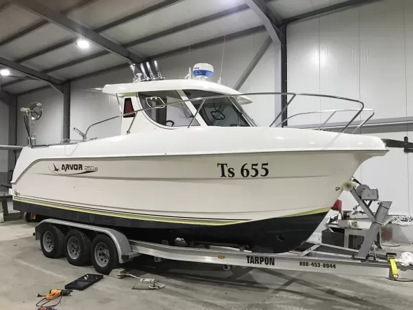 Quicksilver ARVOR 250 AS
