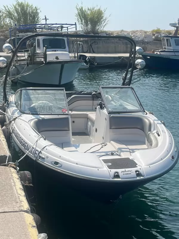Yamaha SX 210