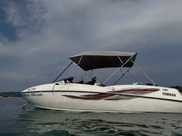 Yamaha LS2000