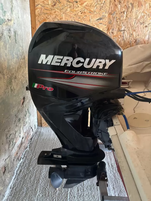 Mercury PRO