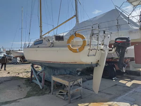 Albin Marin Vega 27