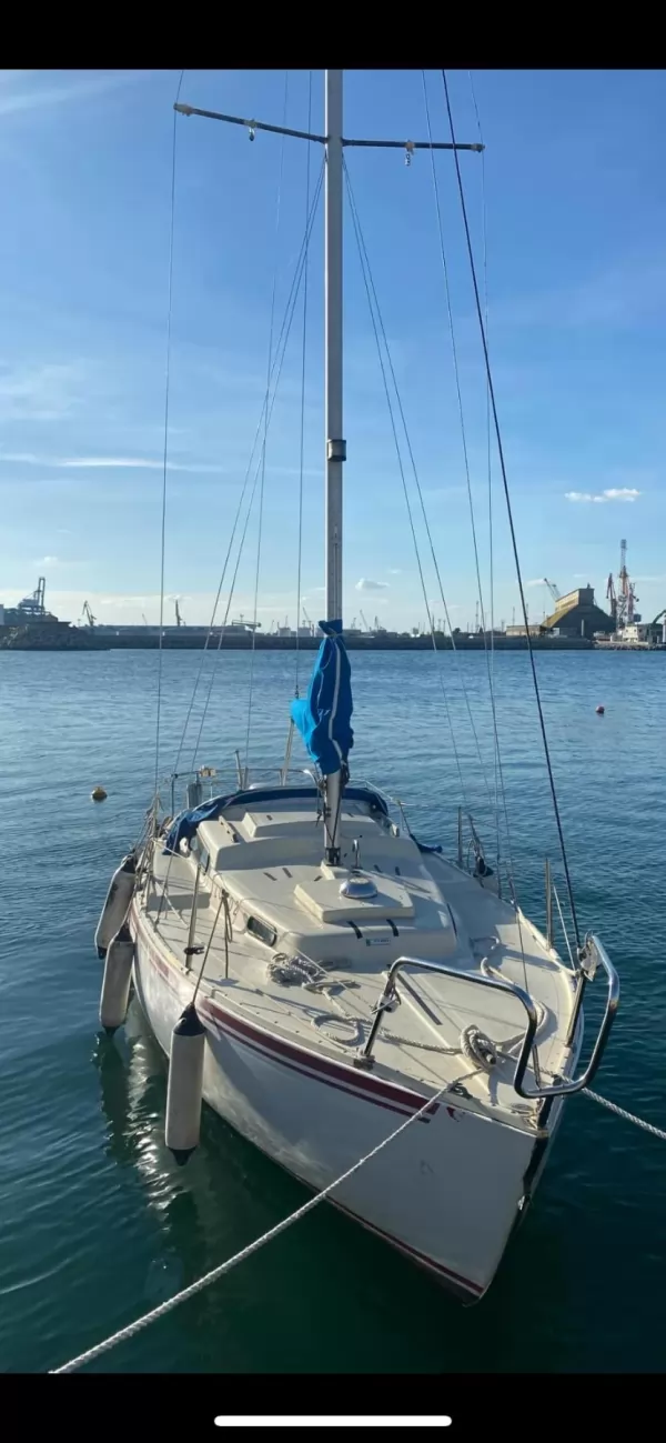 Albin Marin Albin Vigen 23
