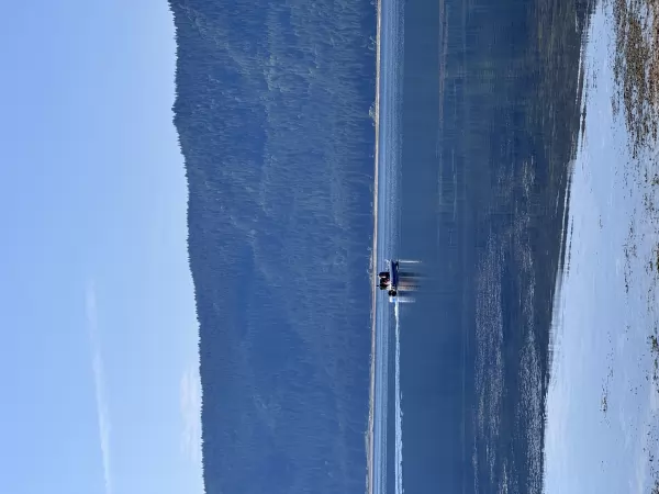 Bayliner Trophy