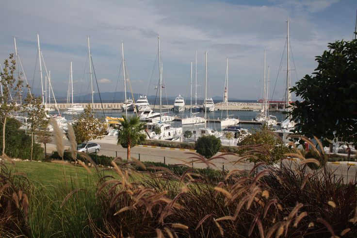 Port
