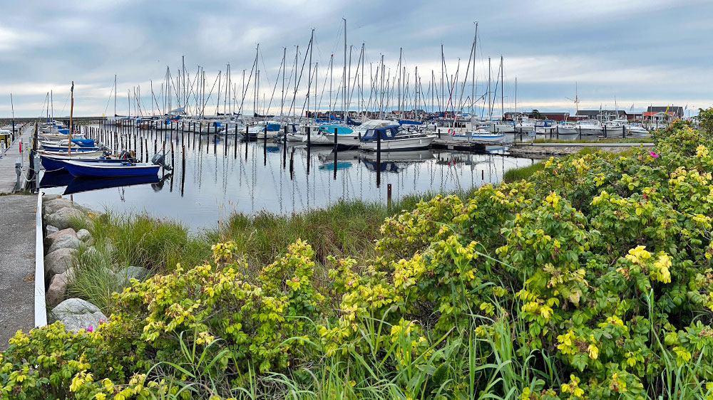 Port