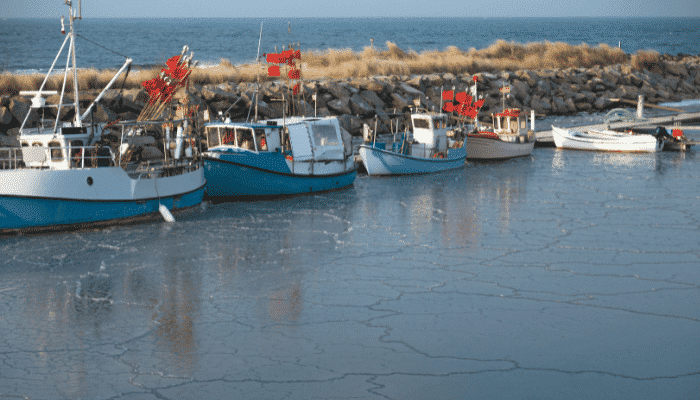 Port
