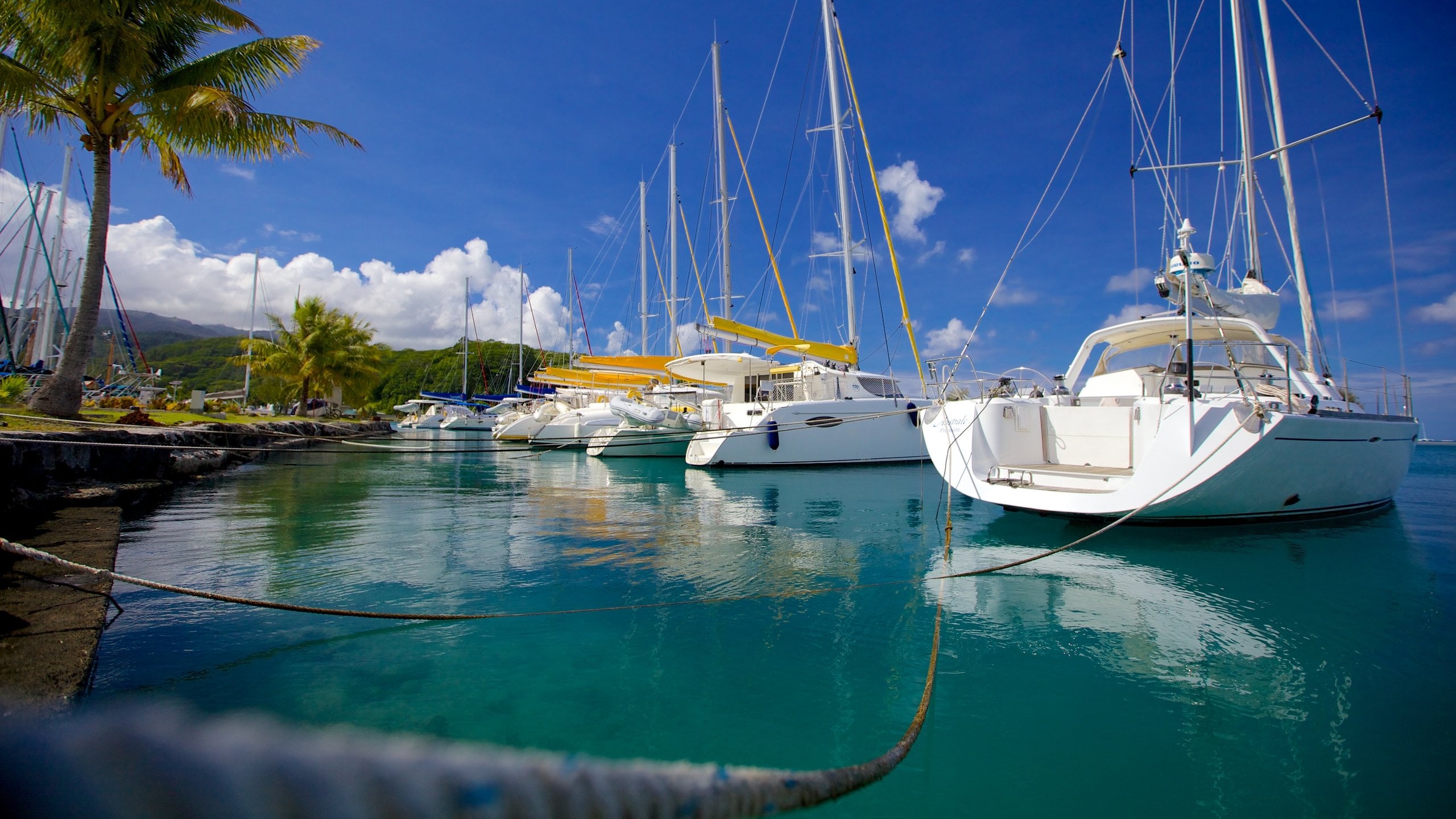Port