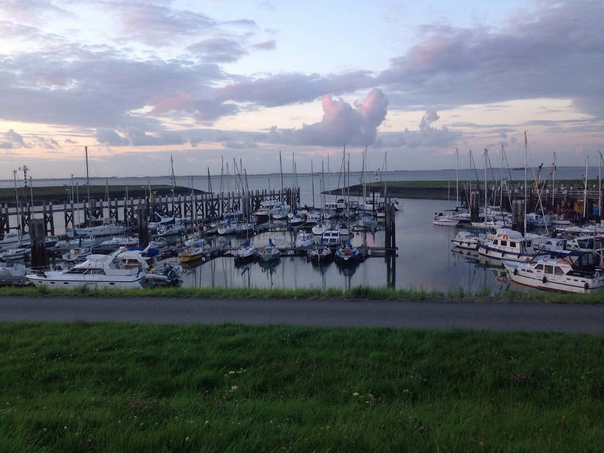 Port